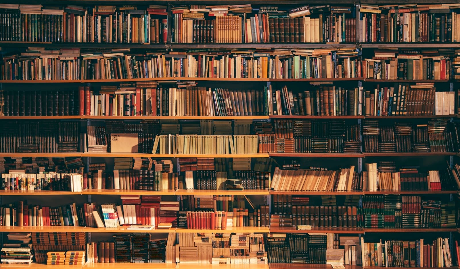 RAG للمبتدئ: ليه Claude مش بيعرف بيانات شركتك والحل في 25 سطر